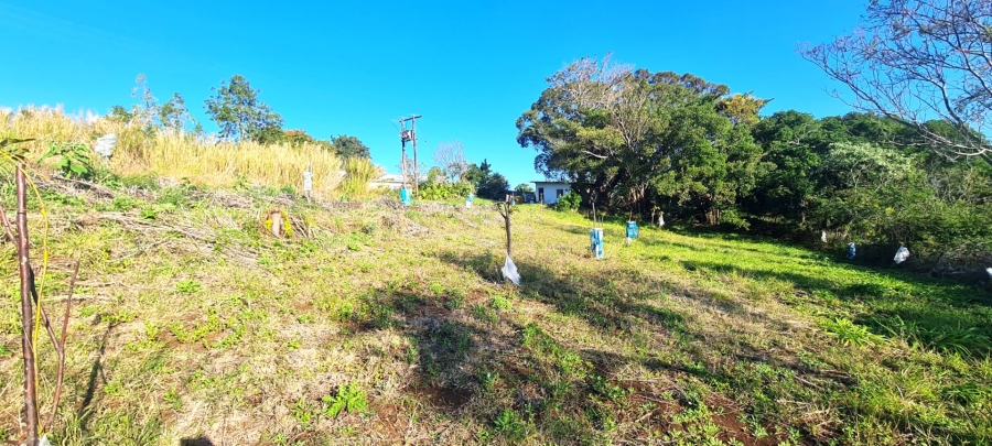 Commercial Property for Sale in Cintsa East Eastern Cape